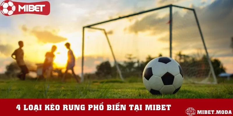 Top 4 loại kèo có nhiều lượt truy cập nhất nhà cái