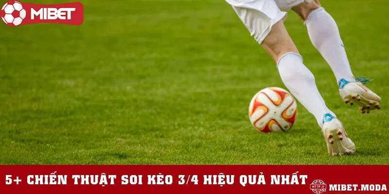 Bí kíp soi kèo cực đỉnh tại nhà cái Mibet