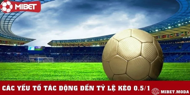 Những yếu tố cần chú ý để đặt cược thêm chính xác