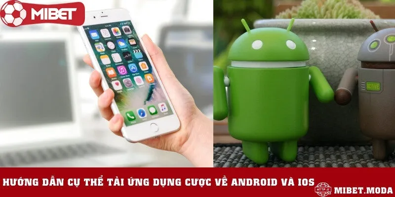 Hướng dẫn các bước cài đặt app nhà cái về máy