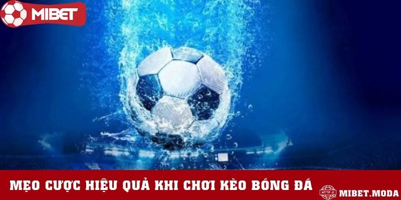 Một số lời khuyên hữu ích từ các chuyên gia