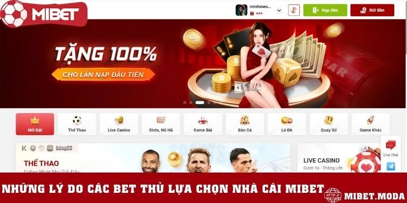 Lý do người chơi lựa chọn Mibet để tham gia cá cược