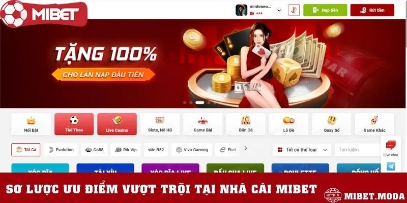 Một số thông tin về nhà cái cá cược trực tuyến Mibet