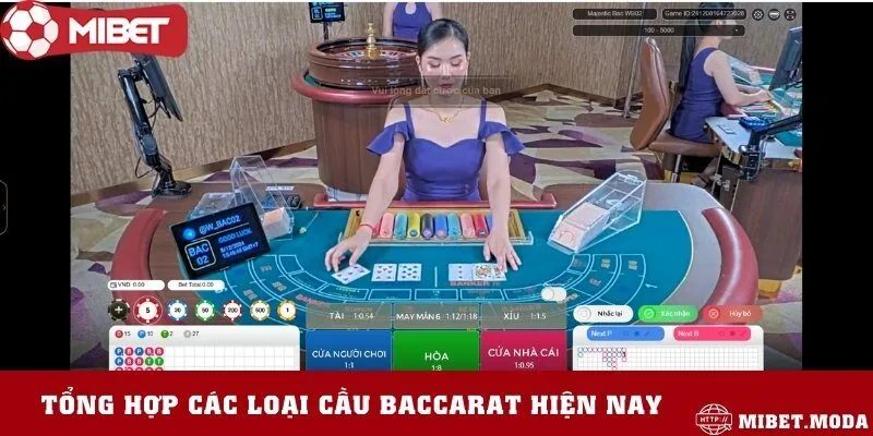 3 loại cầu Baccarat có tính phổ biến rộng rãi