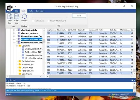 Stellar Repair For Photo 2025 Free Download Windows
